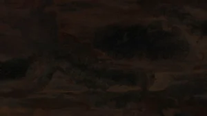 Acabados 83